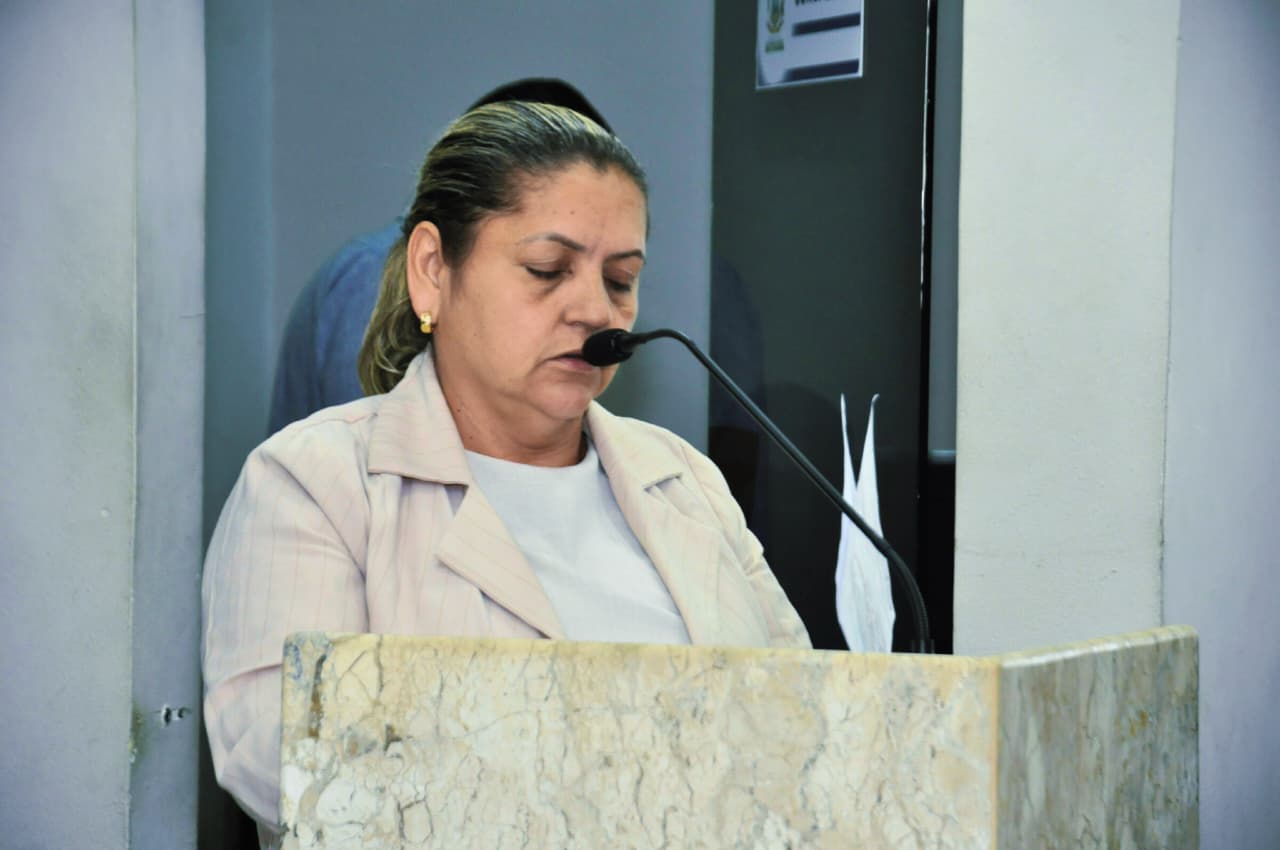Câmara aprova requerimentos da vereadora Coíta Trabalha para escadarias e pavimentação em bairros de São Lourenço da Mata