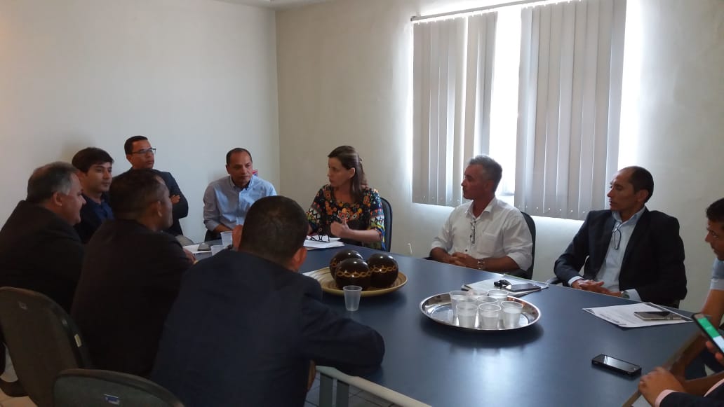 Vereadores se reúnem com secretária de Infraestrutura e cobram regularização da coleta de lixo
